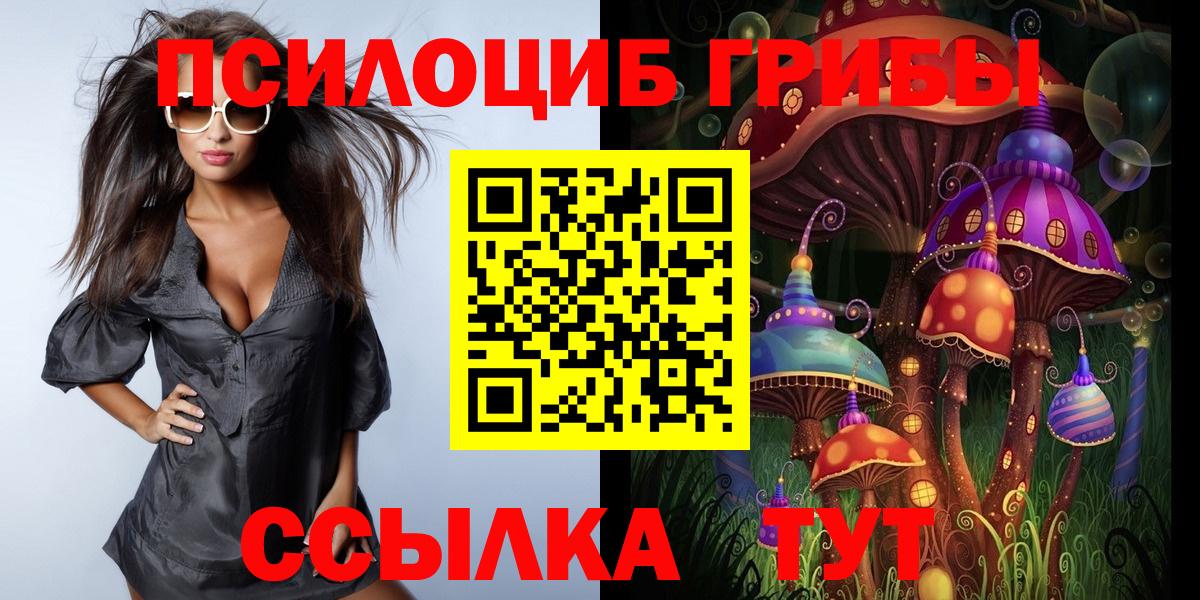 Карпинск  сколько стоит  Галлюциногенные грибы GOLDEN TEACHER  Вход с VPN  Псилоцибиновые грибы GOLDEN TEACHER 